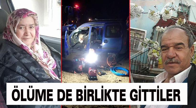 Ölüme de birlikte gittiler