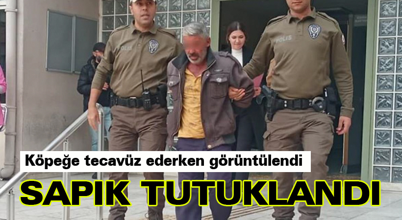 Köpeğe tecavüz eden sapık tutuklandı