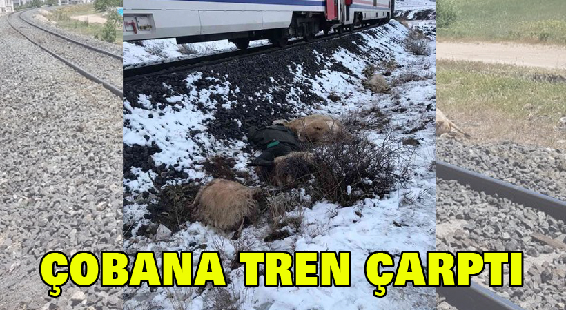 Çobana tren çarptı