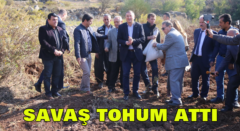 Savaş tohum attı