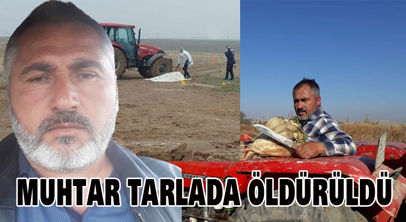 Muhtar tarlada öldürüldü