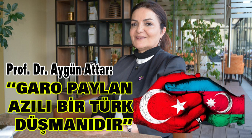Prof. Dr. Aygün Attar : “Garo Paylan azılı bir Türk düşmanıdır”