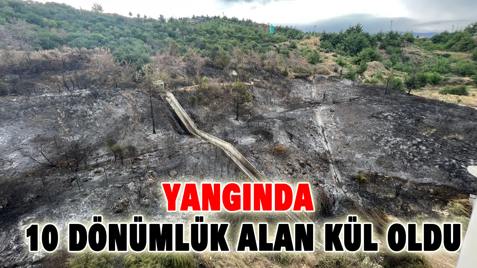 Yangında 10 Dönümlük Alan Kül Oldu