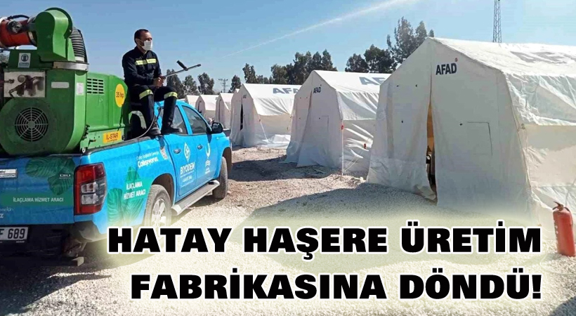 Hatay HAŞERE fabrikasına döndü