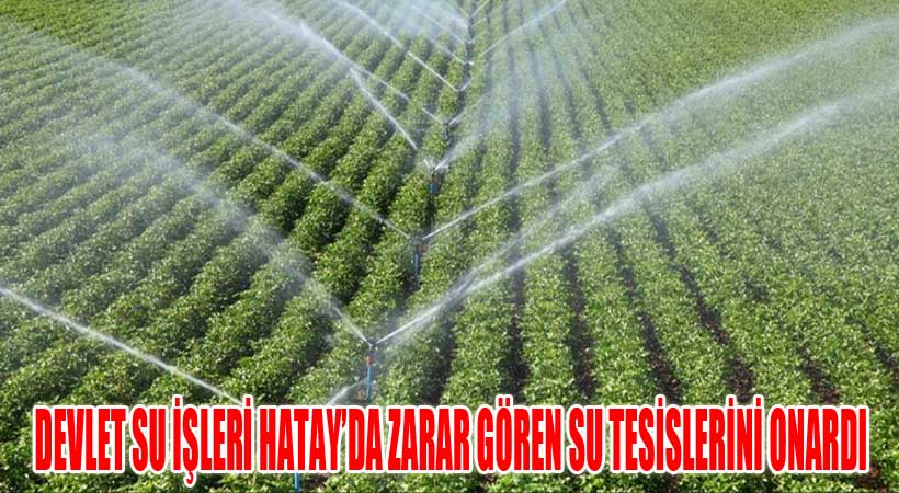 Devlet Su İşleri Hatay’da Zarar Gören Sulama Tesislerini Onardı