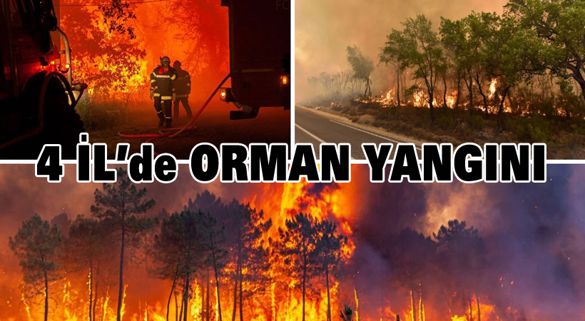 4 İl’de orman yangını