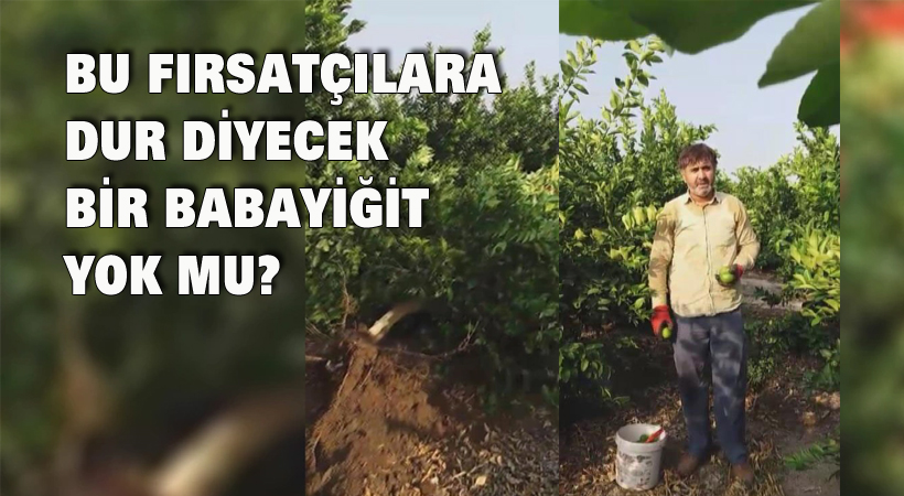 Bu fırsatçılara dur diyecek bir babayiğit yok mu?