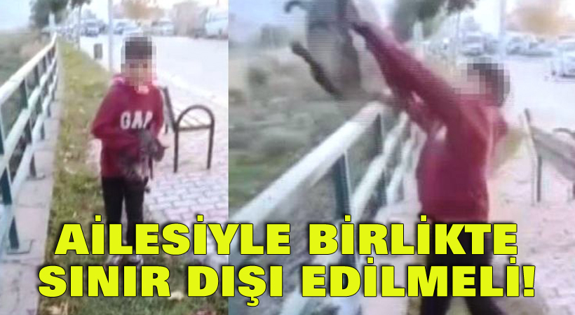 Ailesiyle birlikte sınır dışı edilmeli