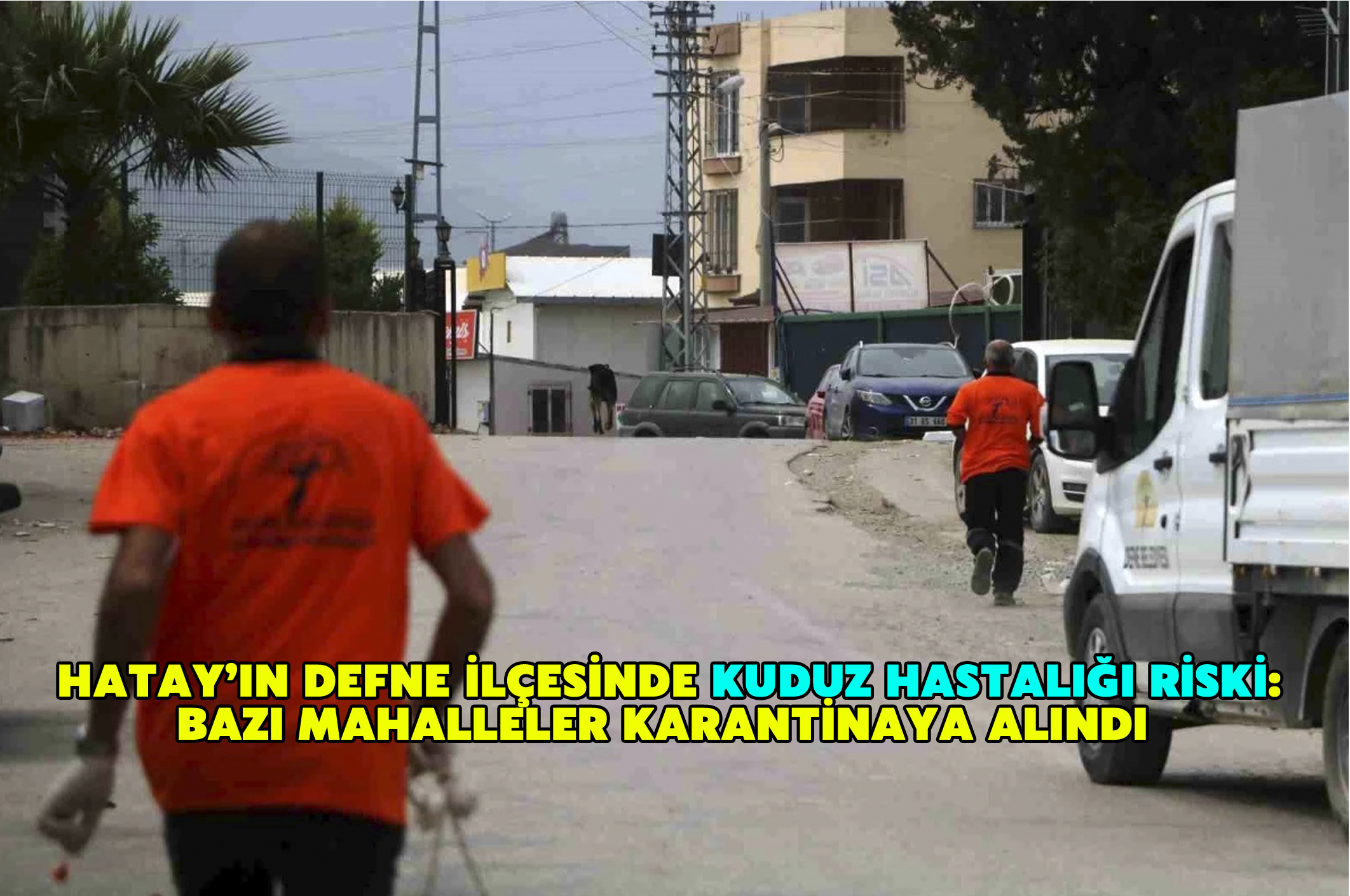Hatay’ın Defne ilçesinde kuduz hastalığı riski