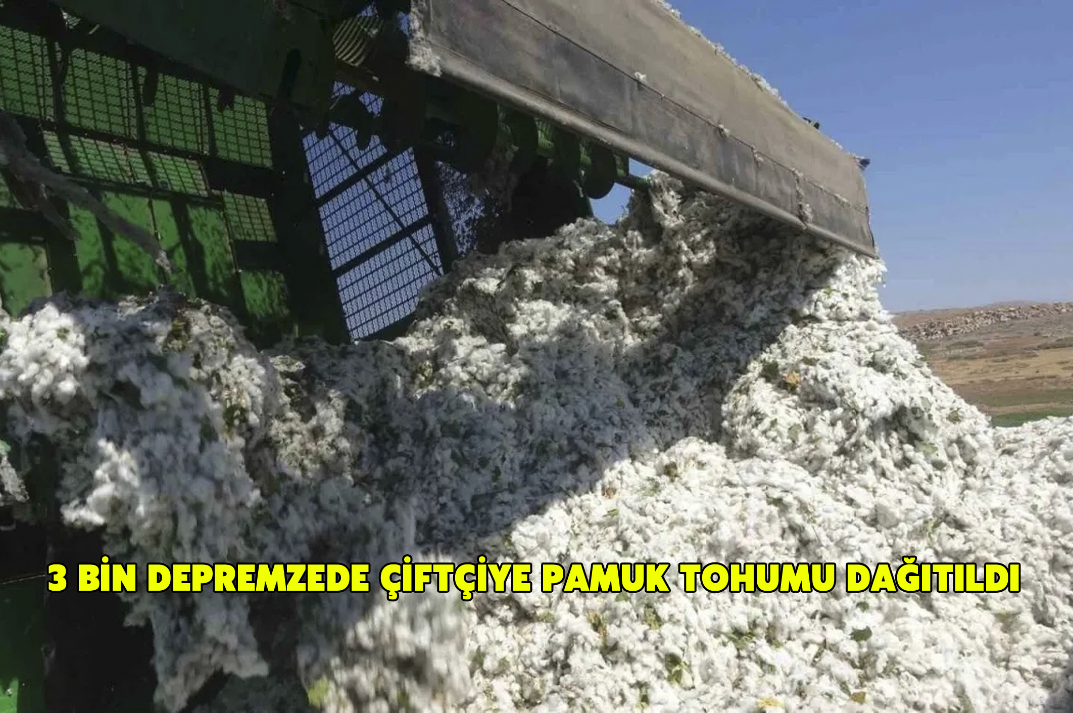 3 bin depremzede çiftçiye pamuk tohumu dağıtıldı