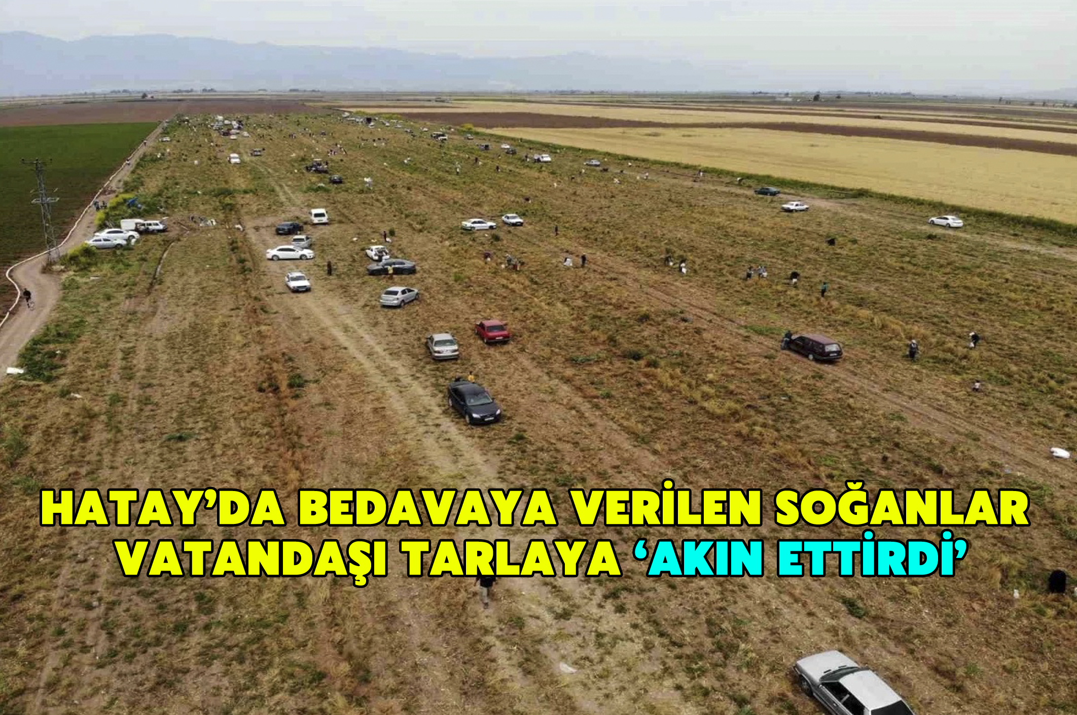 Hatay’da Bedava Dağıtılan Soğanlar Vatandaşları Tarlaya Akın Ettirdi