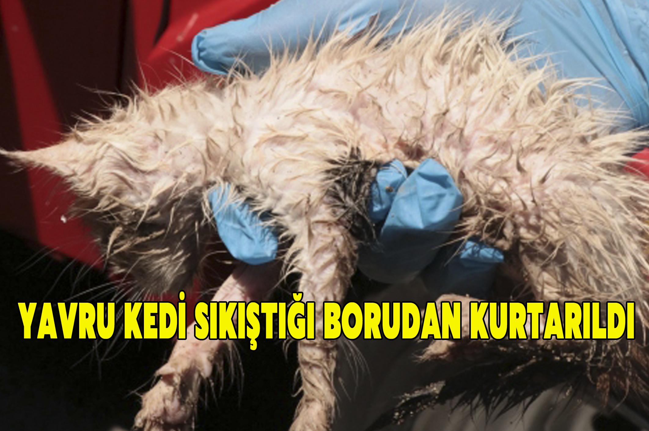 Yavru kedi sıkıştığı borudan kurtarıldı