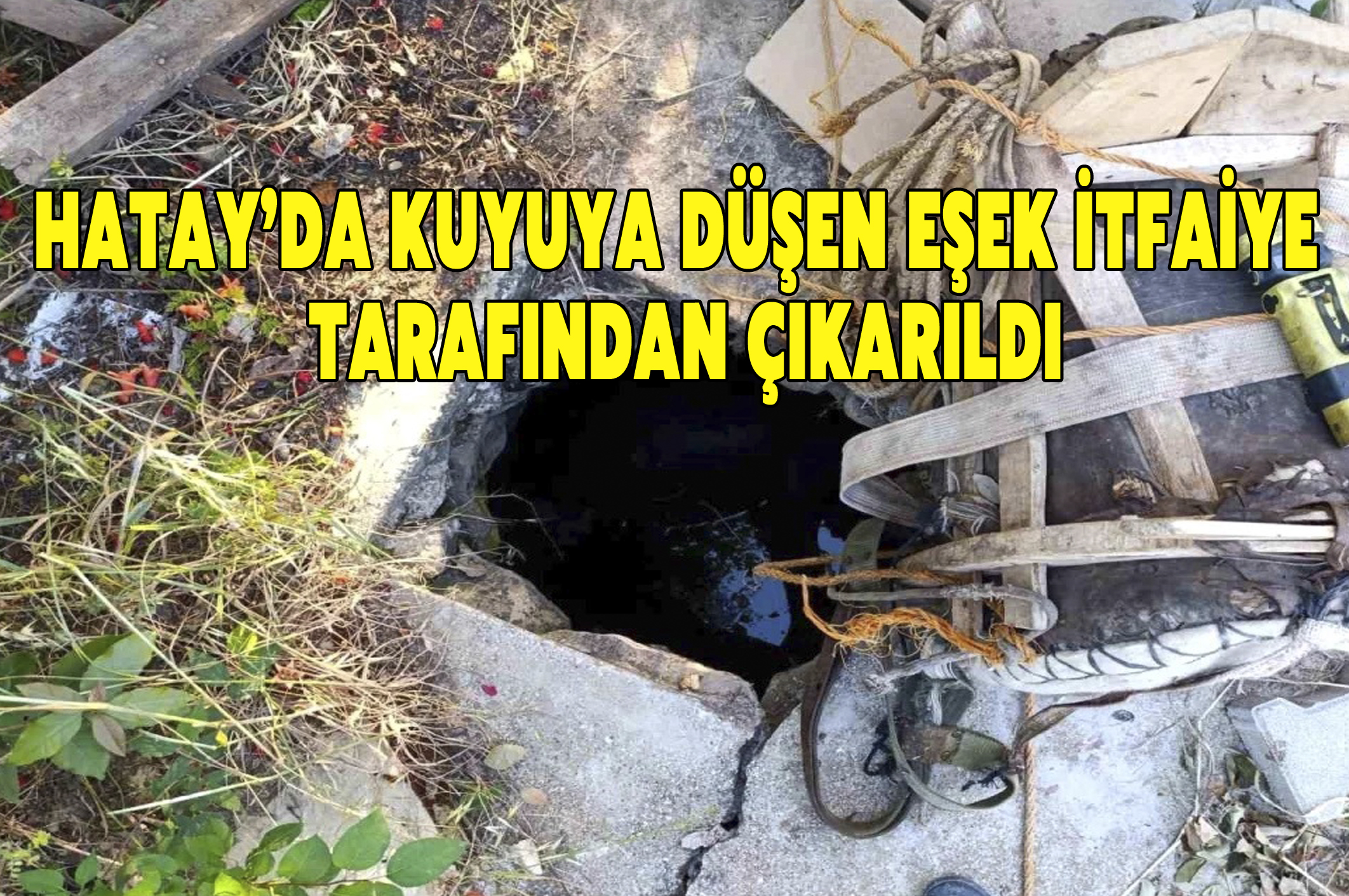 Hatay’da Kuyuya Düşen Eşek İtfaiye Tarafından Çıkarıldı