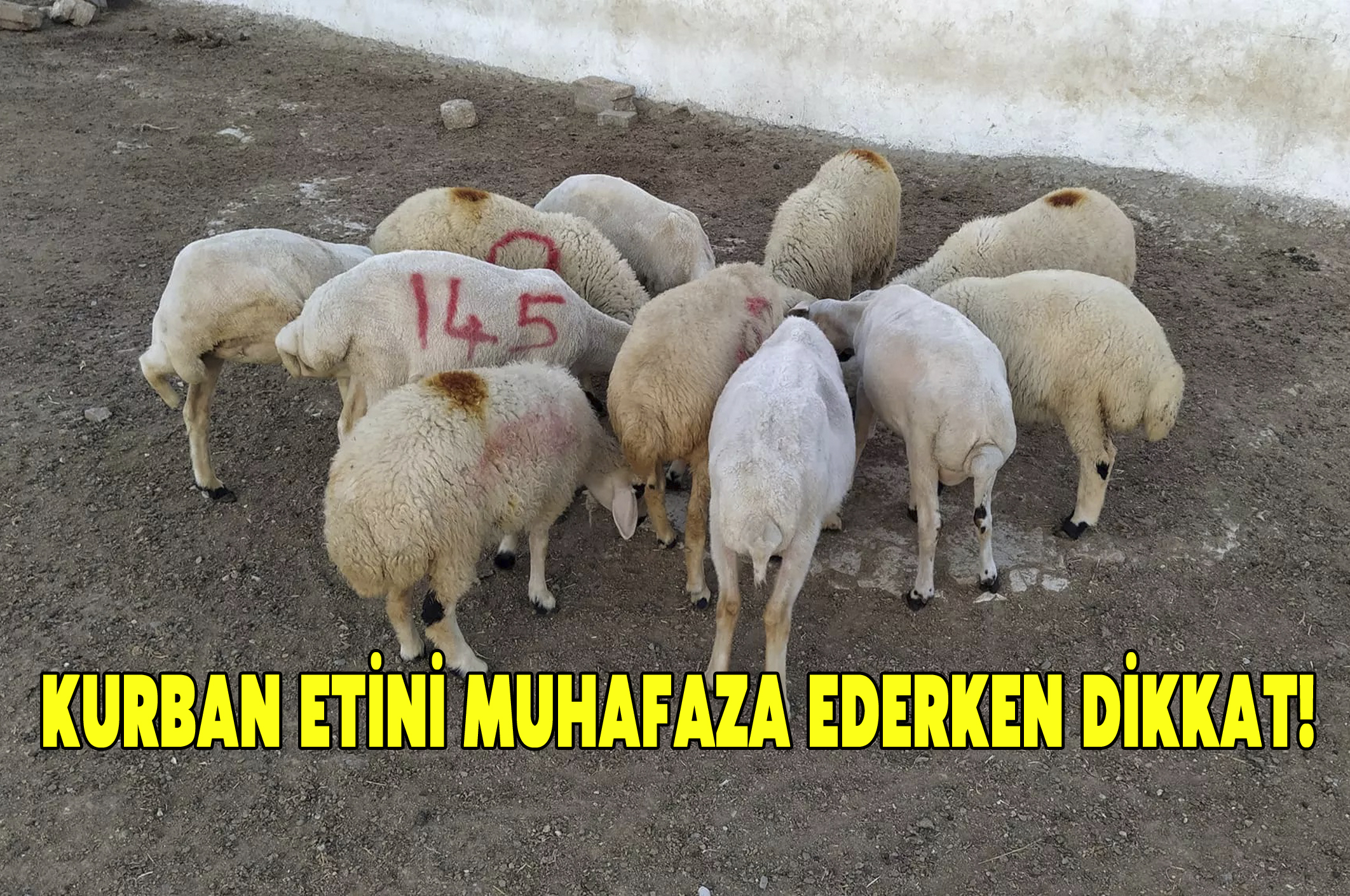 Kurban etini muhafaza ederken dikkat!