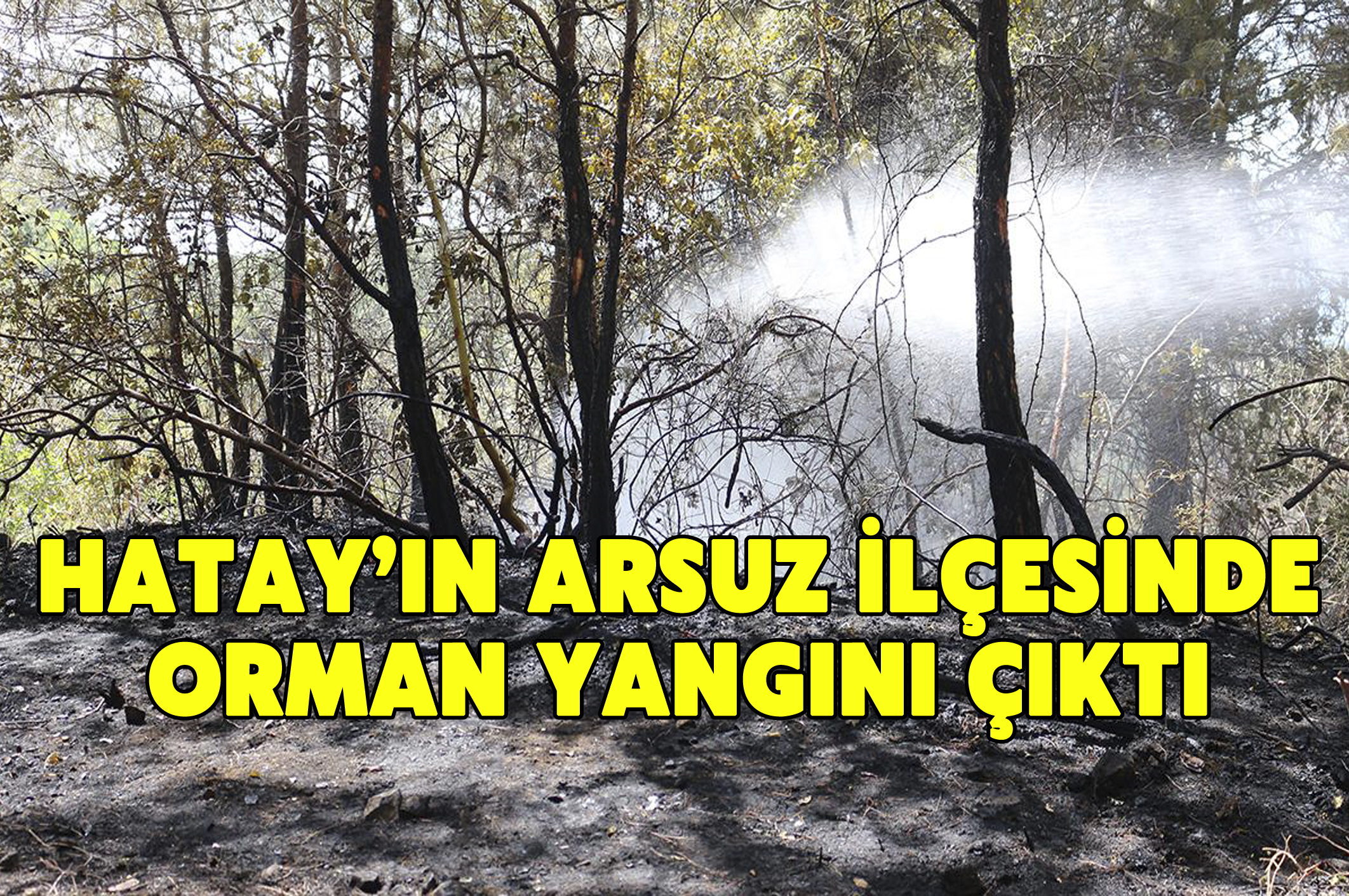 Hatay’ın Arsuz ilçesinde orman yangını çıktı
