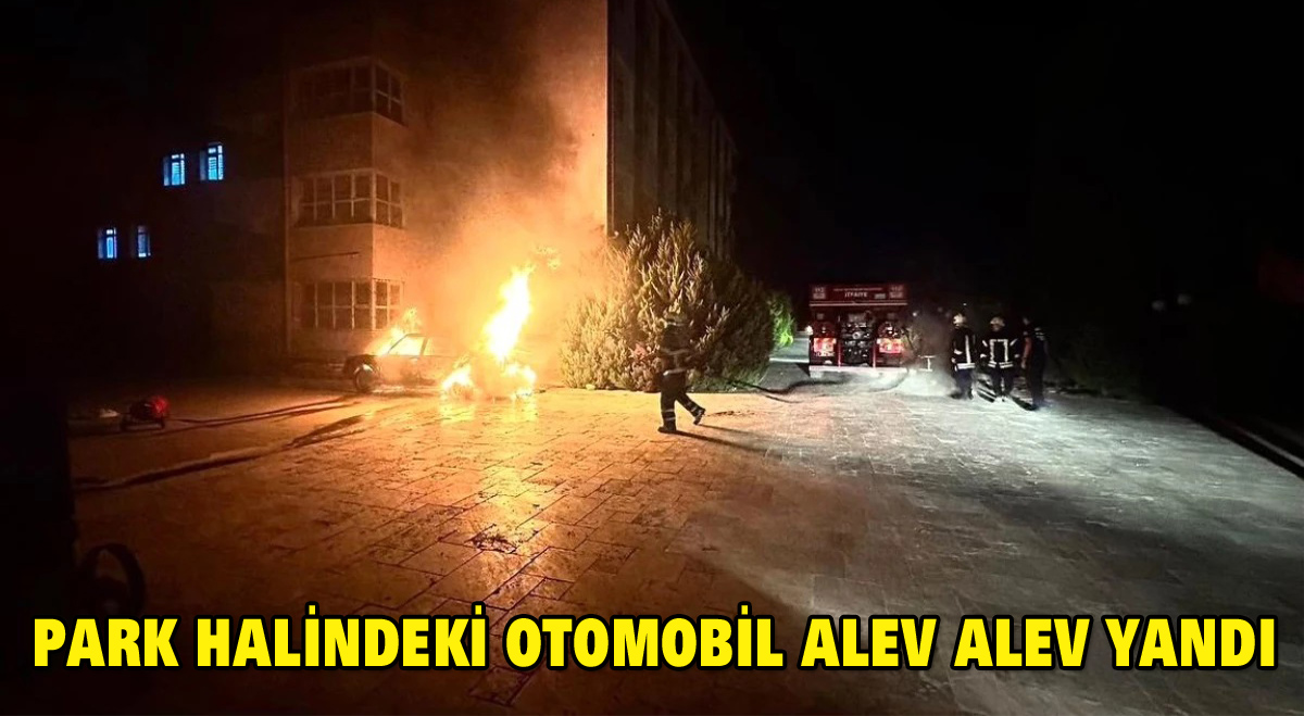 park halindeki otomobil alev alev yandı