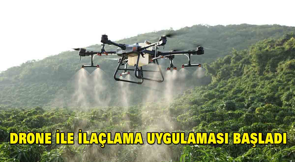 Drone ile İlaçlama Uygulaması Başladı