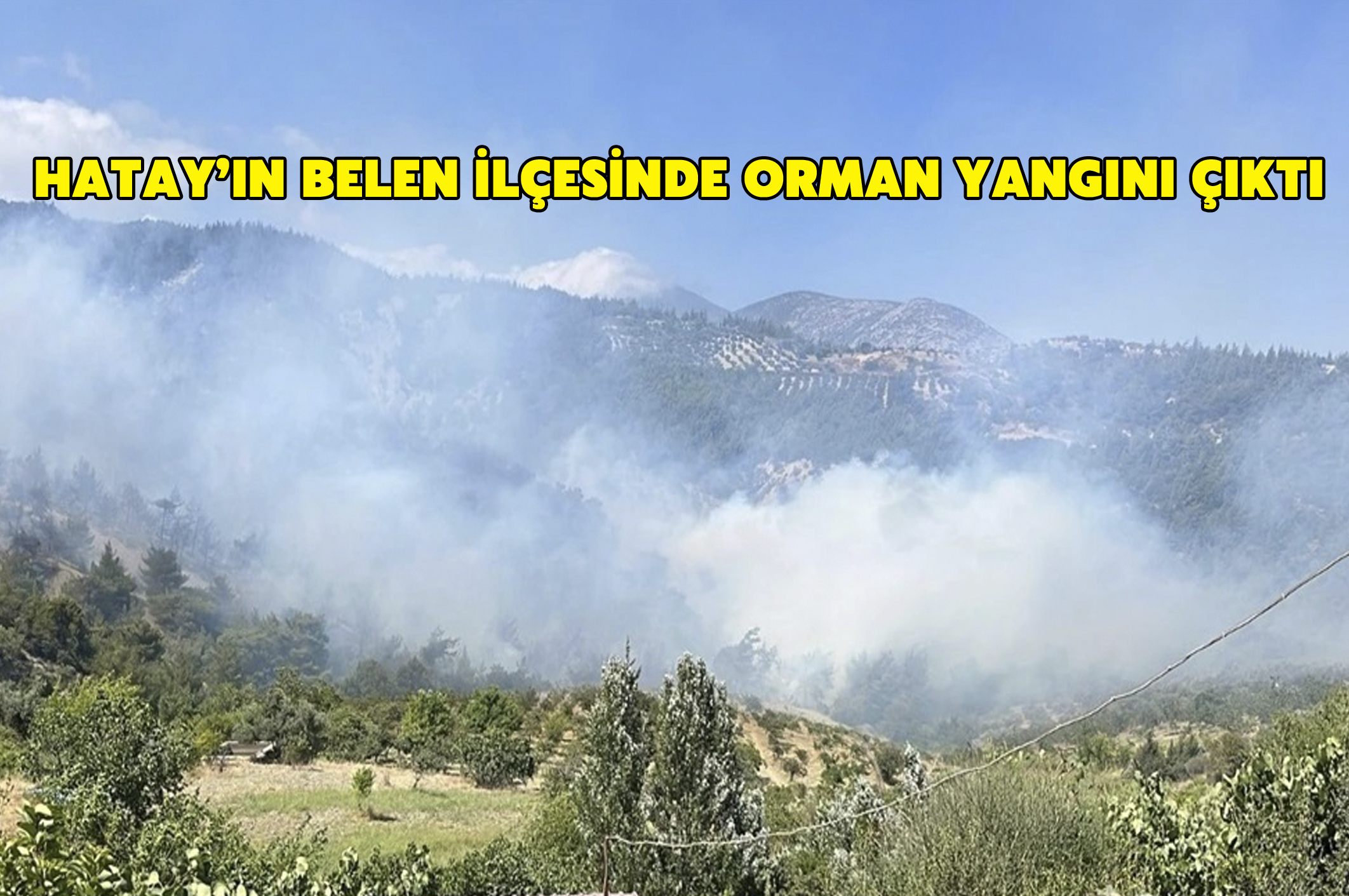 Hatay’ın Belen ilçesinde orman yangını çıktı