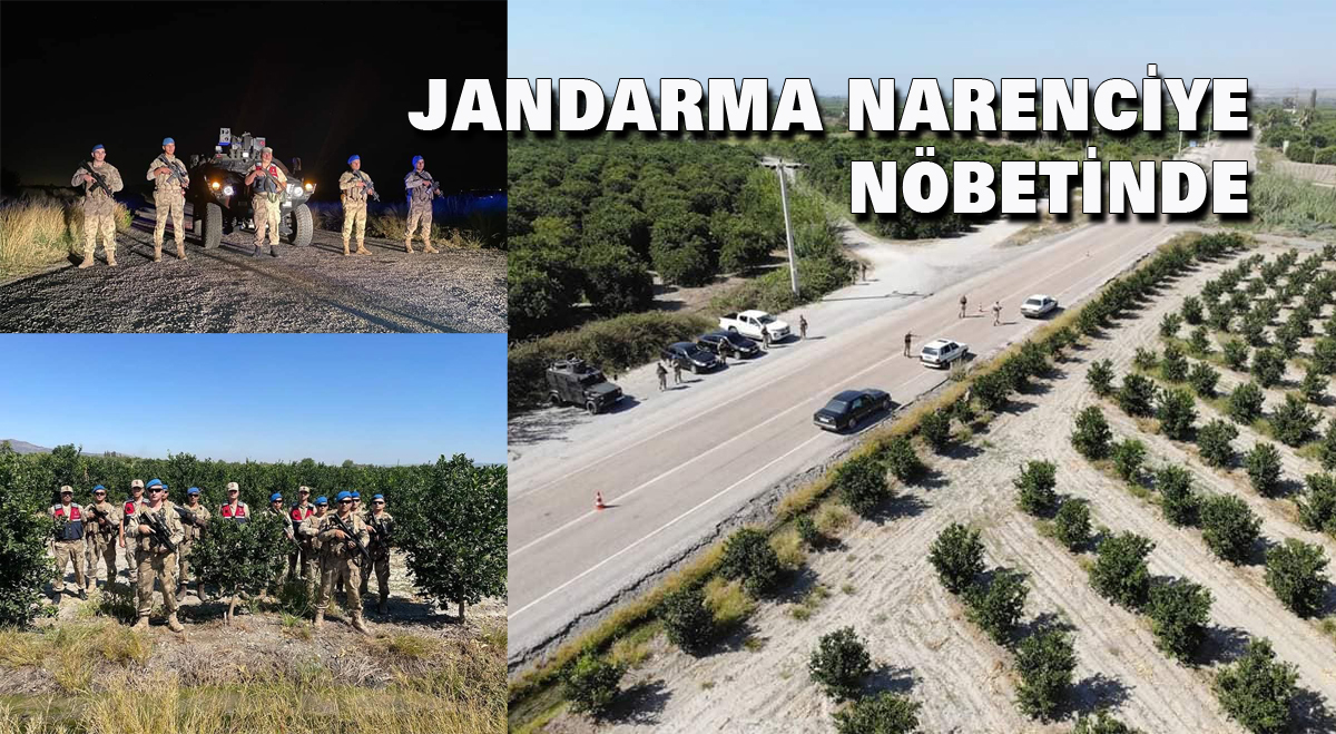 Jandarma narenciye nöbetinde