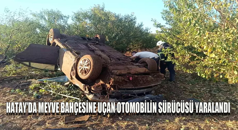 Hatay’da Meyve Bahçesine Uçan Otomobilin Sürücüsü Yaralandı