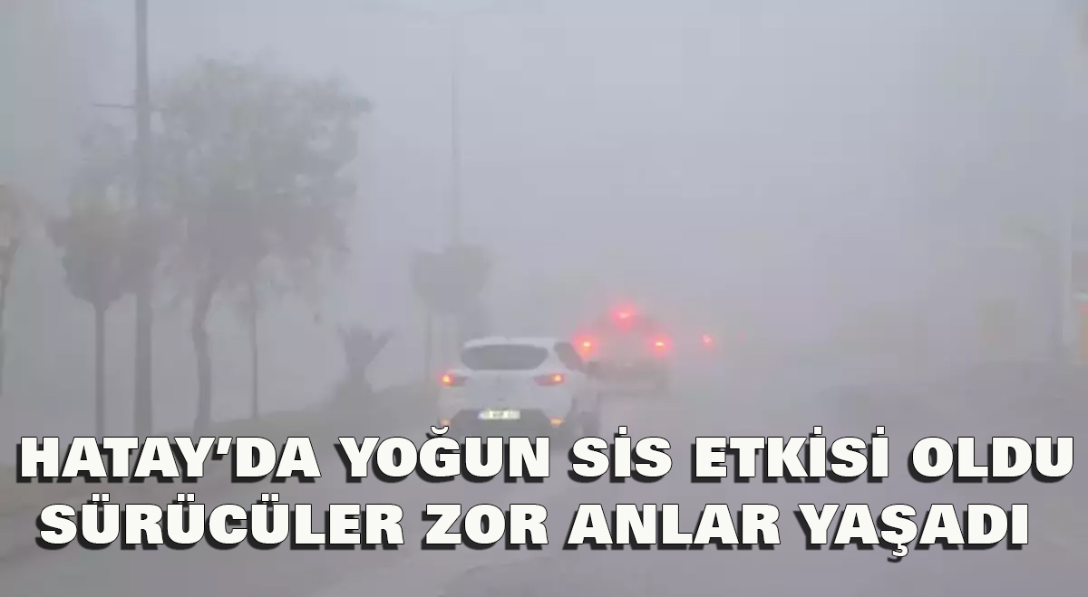 Hatay’da Yoğun Sis Etkili Oldu: Sürücüler Zor Anlar Yaşadı