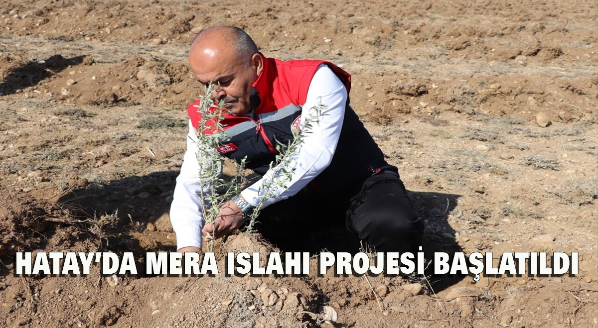 Hatay’da mera ıslahı projesi başlatıldı