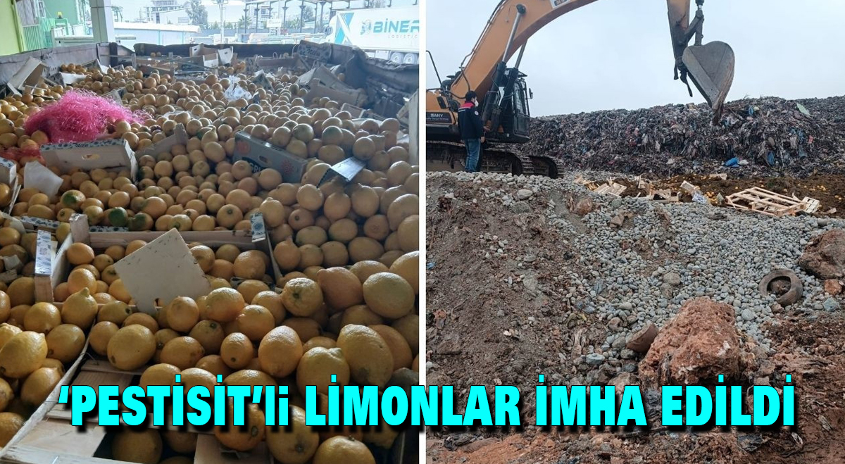 Pestisit’li limonlar imha edildi