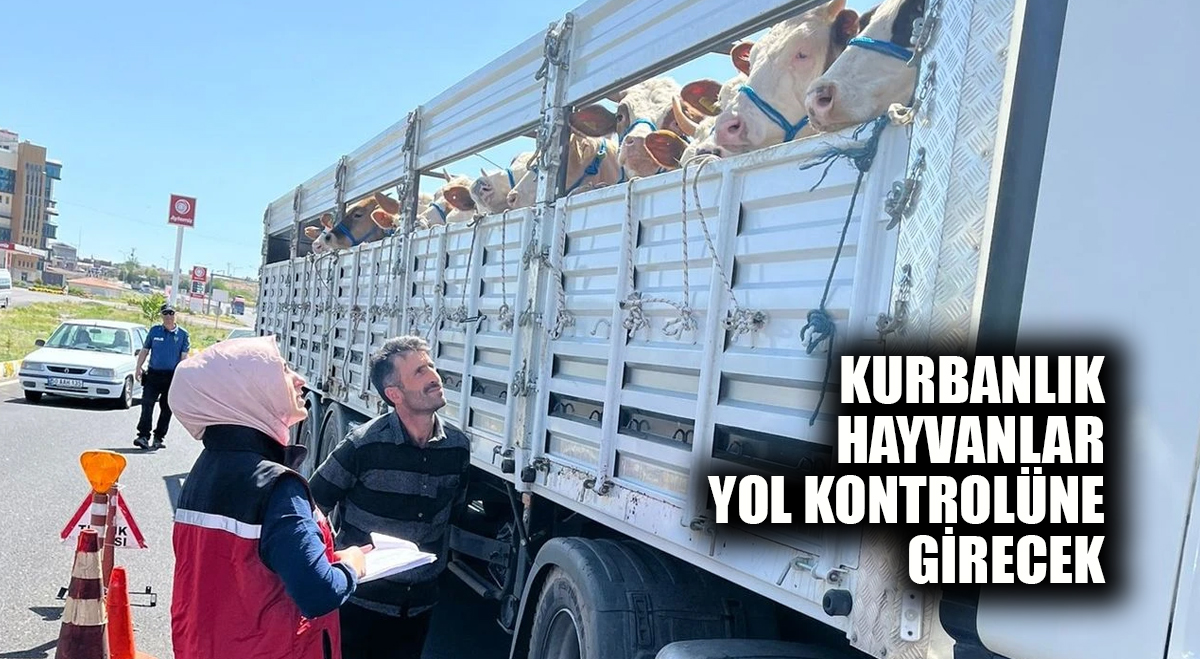 Kurbanlık hayvanlar yol kontrolüne girecek