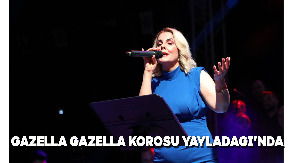 GAZELLA GAZELLA KOROSU YAYLADAĞI’NDA