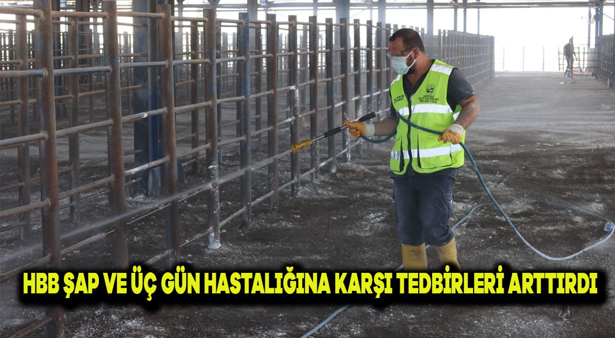 HBB ŞAP VE ÜÇ GÜN HASTALIĞINA KARŞI TEDBİRLERİ ARTTIRDI