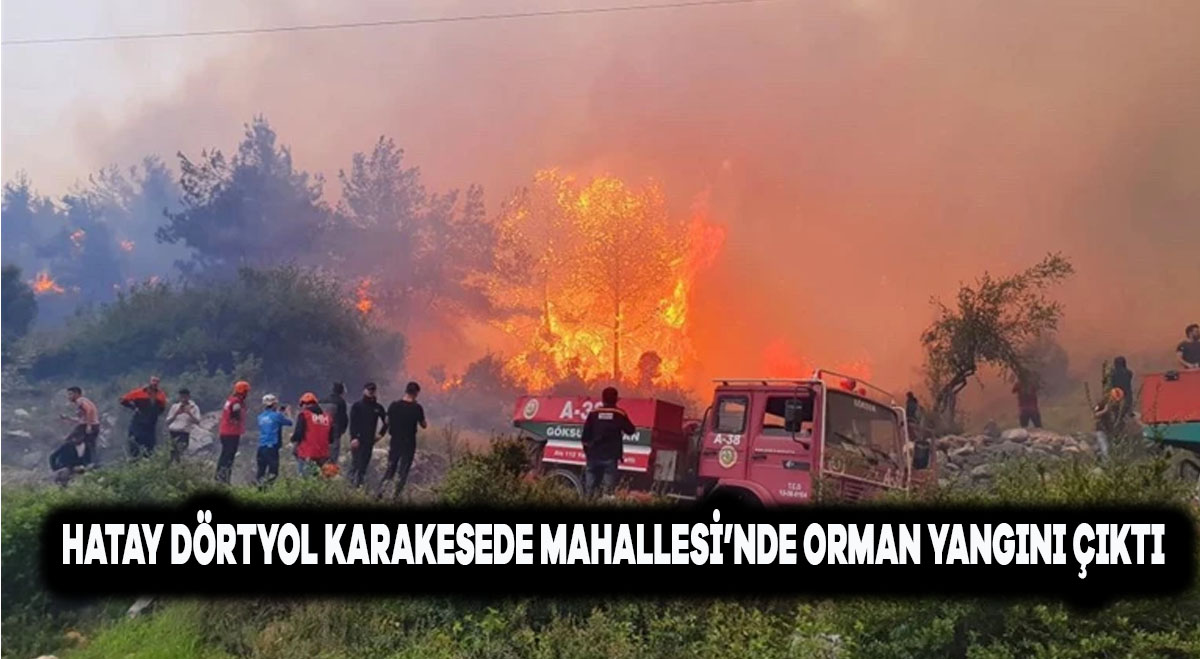 Hatay Dörtyol Karakese Mahallesi’nde Orman Yangını Çıktı.