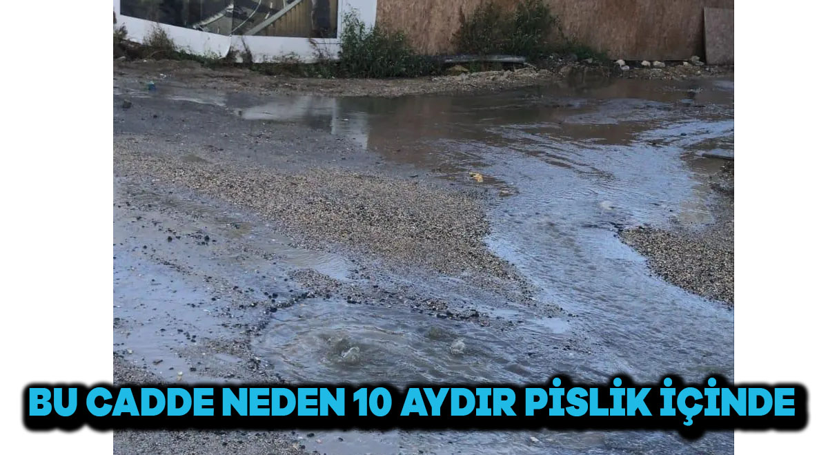 Bu Cadde Neden 10 Aydır Pislik İçinde?