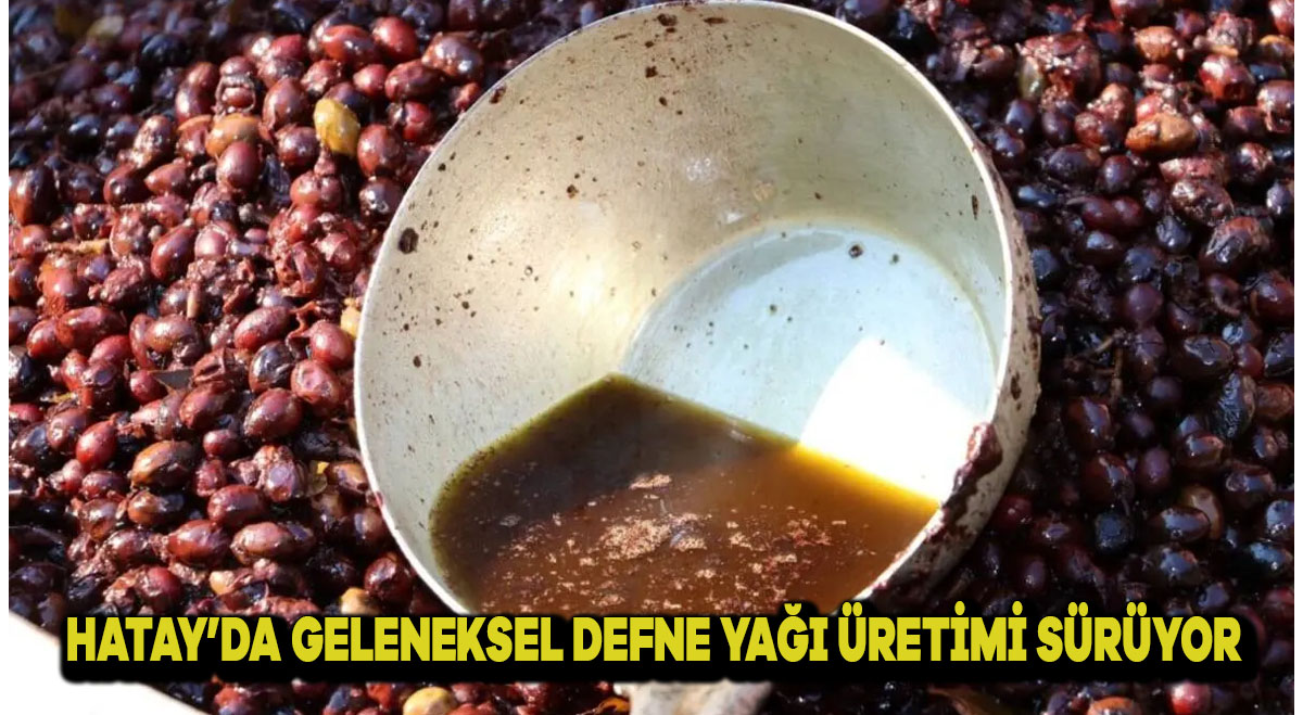Hatay’da Geleneksel Defne Yağı Üretimi Sürüyor