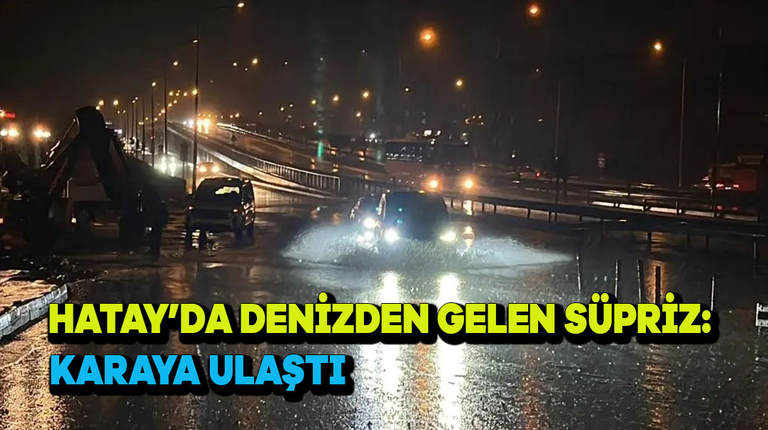 Hatay’da Denizden Gelen Sürpriz: Karaya Ulaştı