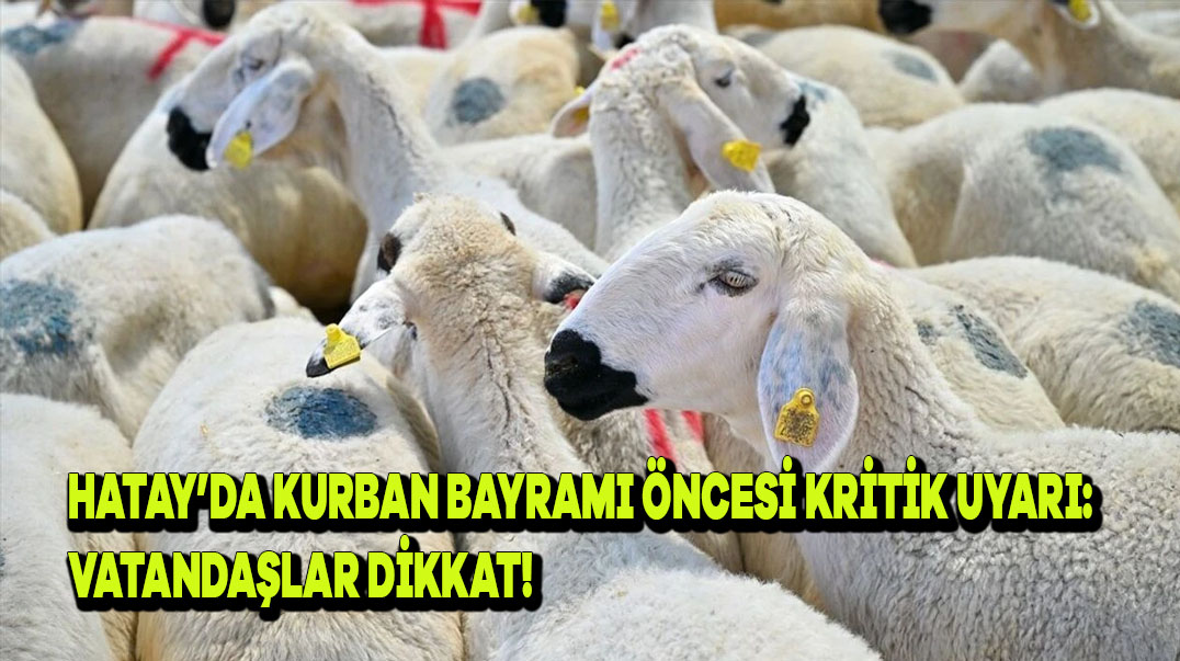 Hatay’da Kurban Bayramı Öncesi Kritik Uyarı: Vatandaşlar Dikkat!