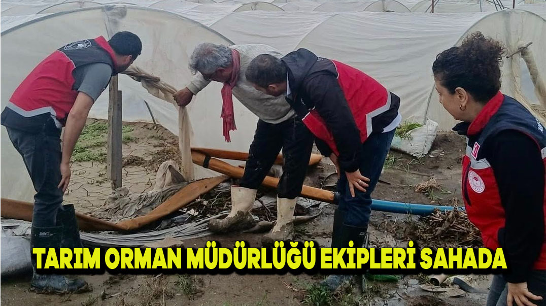 TARIM ORMAN MÜDÜRLÜĞÜ EKİPLERİ SAHADA