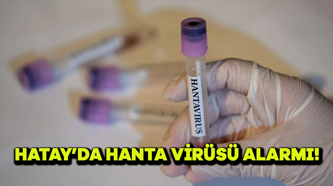 Hatay’da Hanta Virüsü Alarmı!