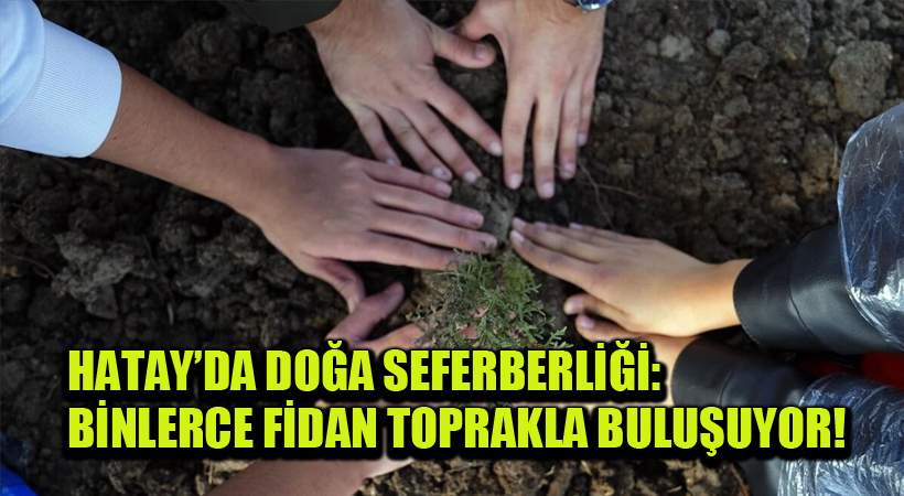 Hatay’da doğa seferberliği: Binlerce fidan toprakla buluşuyor!