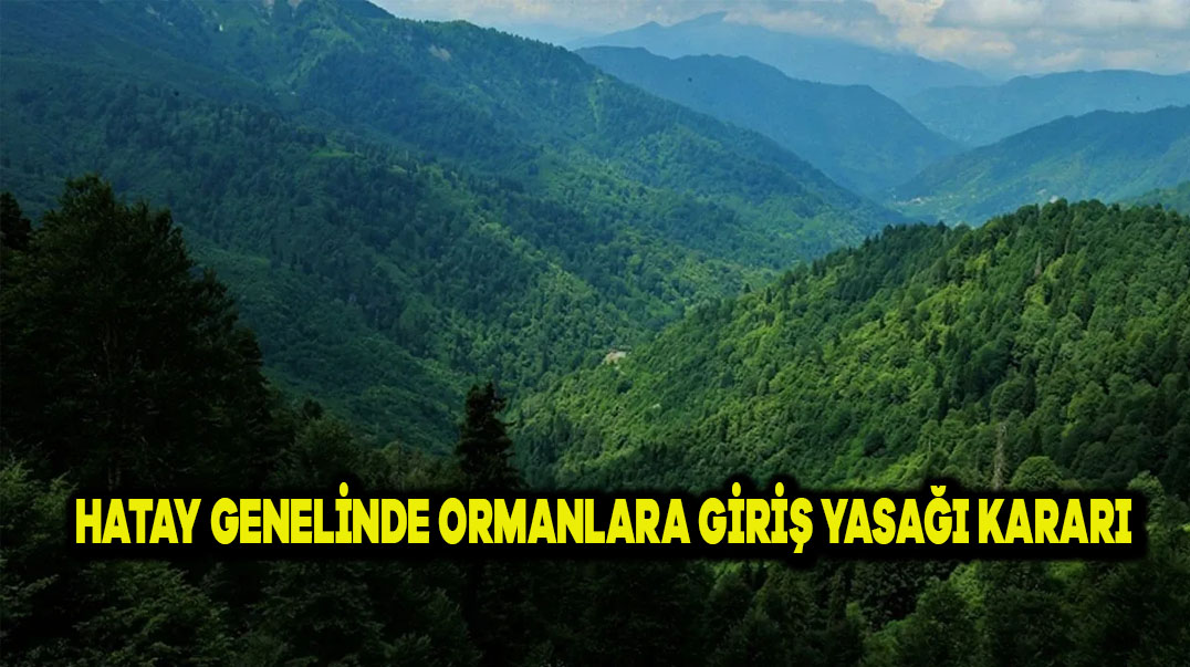 Hatay Genelinde Ormanlara Giriş Yasağı Kararı