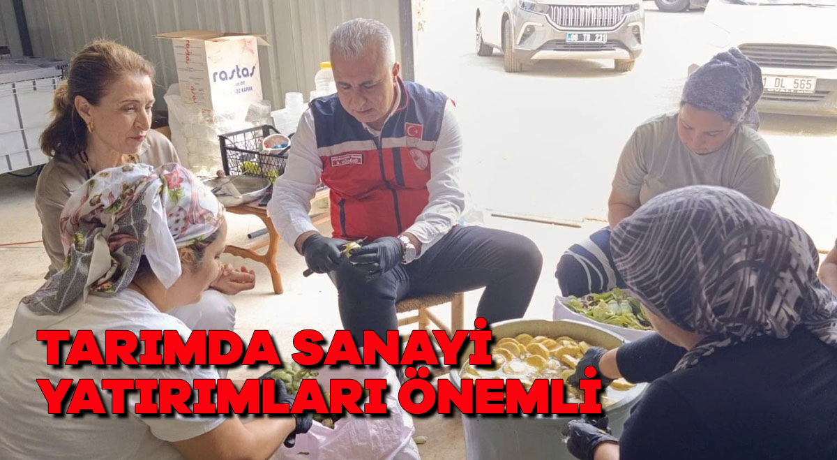 Tarımda sanayi yatırımları önemli