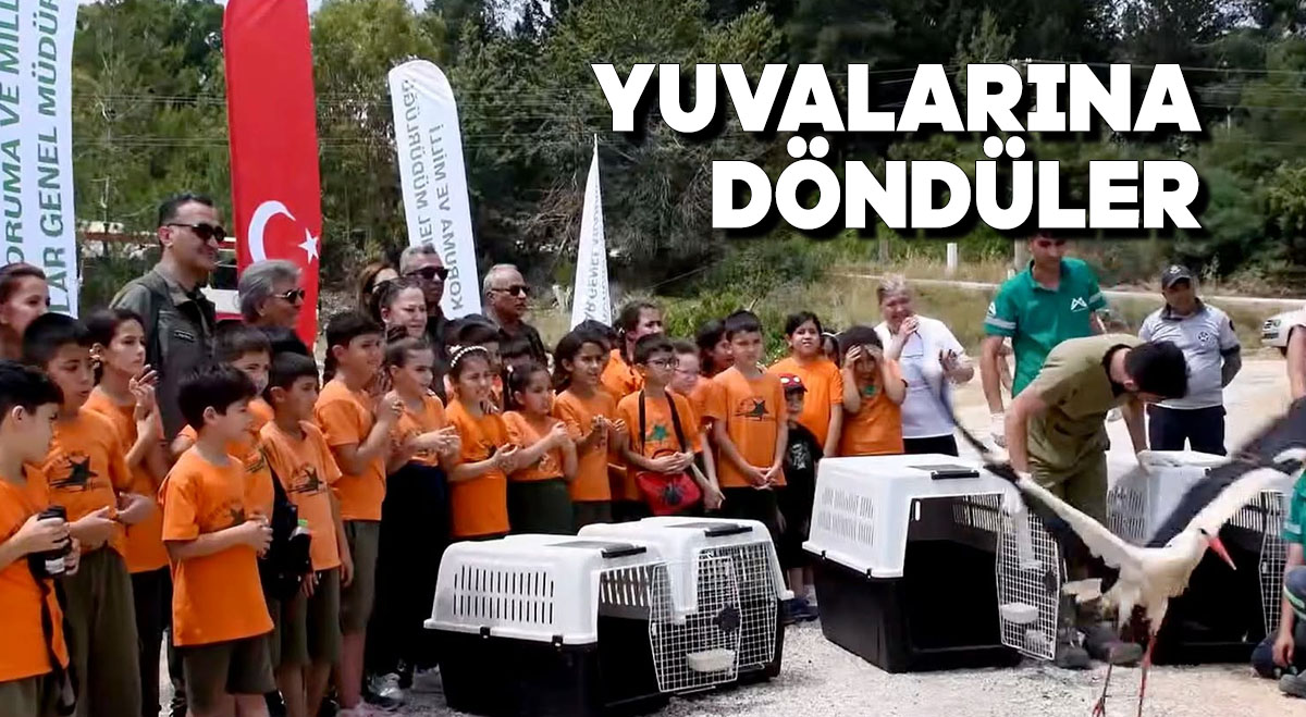Yuvalarına döndüler